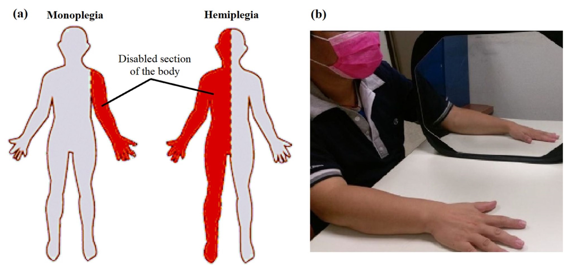 A Novel Soft Robotic Exoskeleton System for Hand Rehabilitation and Assistance Purposes